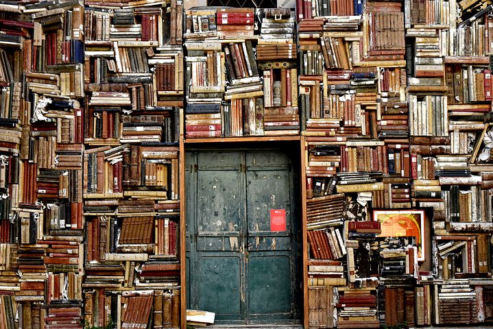 librería saturada. Imagen tomada de Pixabay