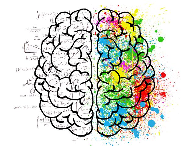 cerebro coloreado. Imagen tomada de Pixabay