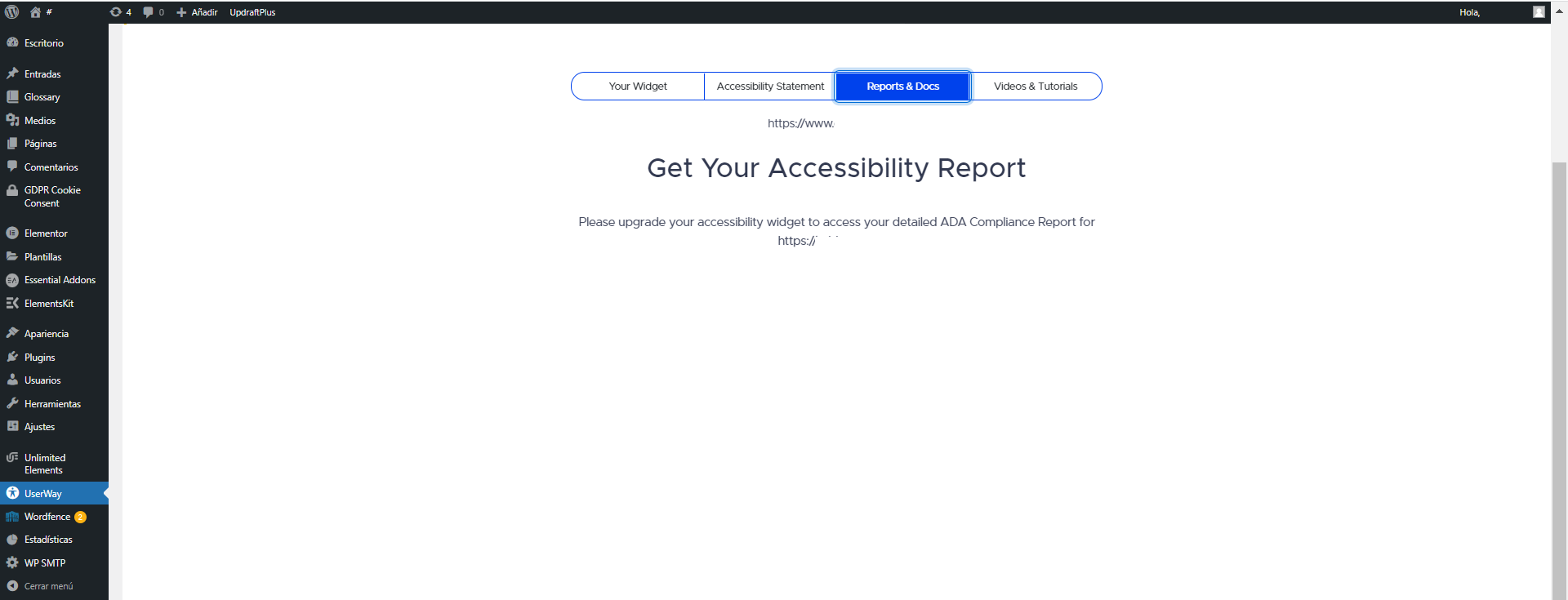 informe de accesibilidad.png