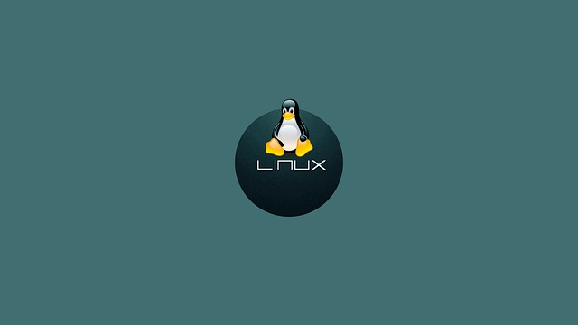 linux-gbd3bc1f91_640.jpg