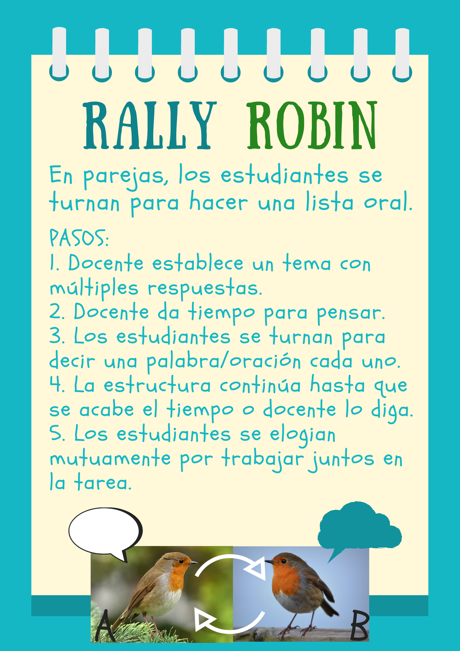 ROBIN DE RALLY (1).png
