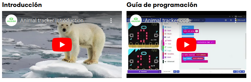 Vídeos codeit.png