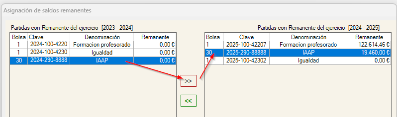 2024-10-10 14_22_48-Asignación de saldos remanentes.png