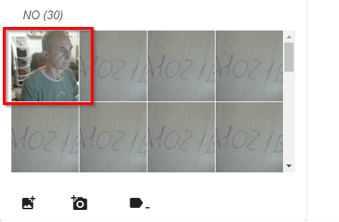 2025-06-17 21_54_31-EchidnaML.png