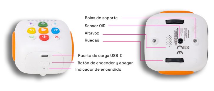 trasera e inferior.png