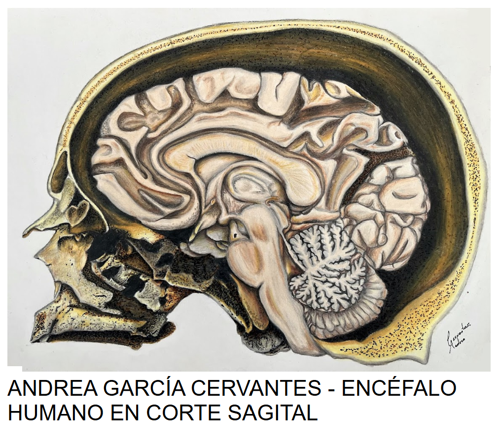 Screenshot 2026-04-06 134027.png